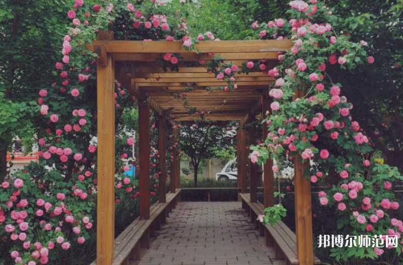 西安工業(yè)師范大學(xué)2023年報(bào)名條件、招生要求、招生對(duì)象