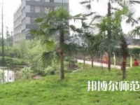 2023年瀘州天宇幼師中等職業(yè)技術(shù)學(xué)校報(bào)名條件、招生對(duì)象