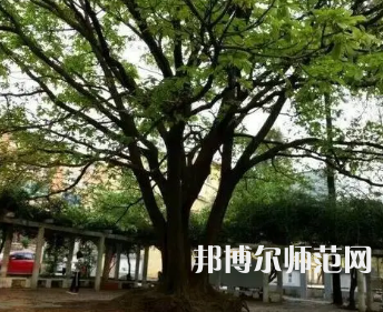 2023年興義民族師范學院電子科學與技術(shù)專業(yè)介紹